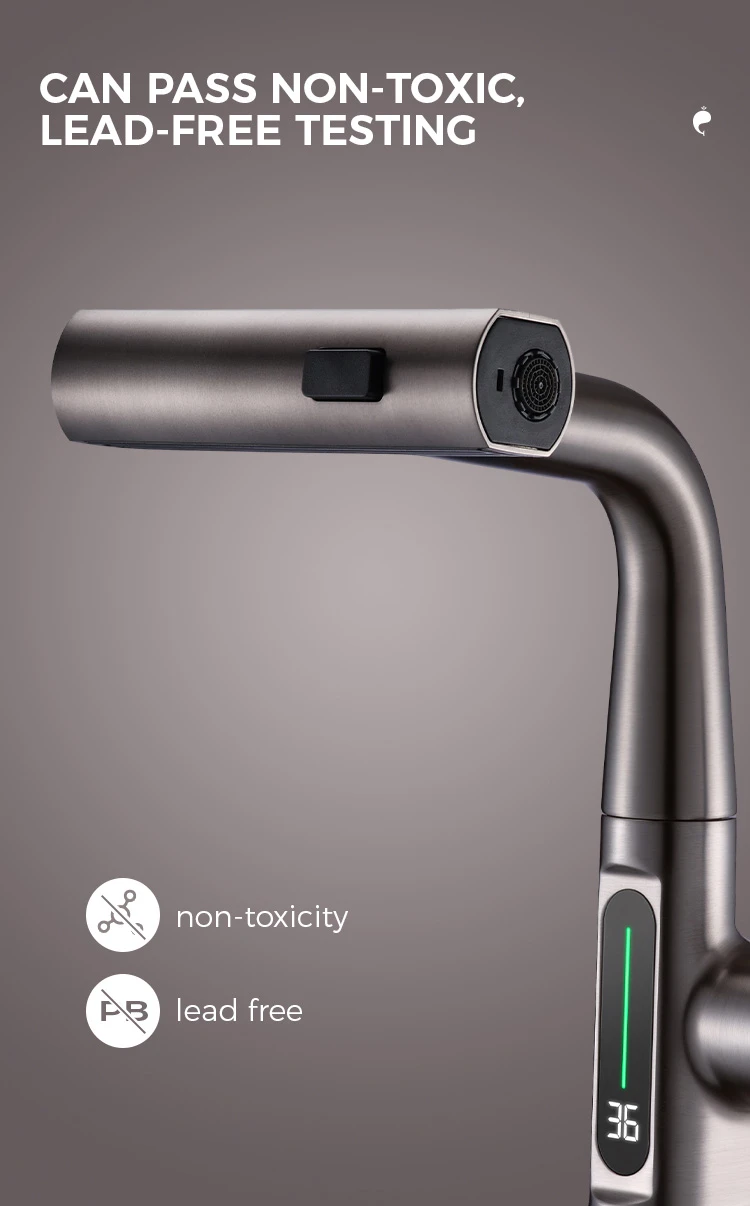 Grey Kitchen Faucet-advantage1